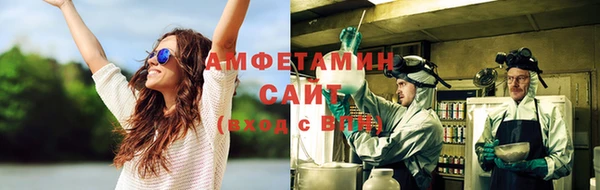 сатива Балахна