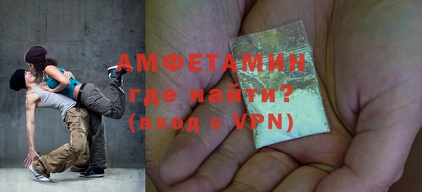 сатива Балахна