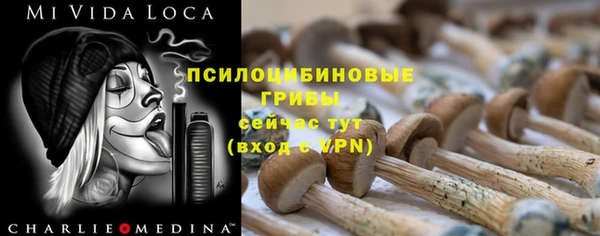 дмт Баксан