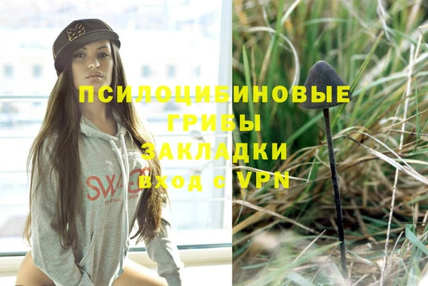 сатива Балахна