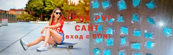 сатива Балахна